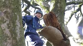 Ashley climbs one of the trees at the ford below Cross Furzes